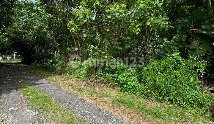 Land for Sale in Lodtunduh Ubud Near Bali Hati International School
