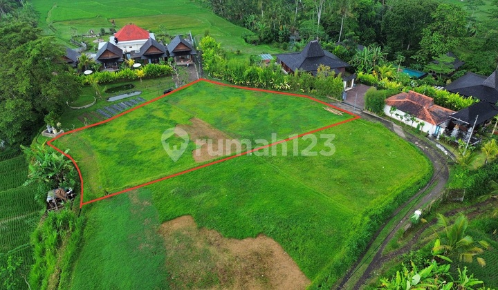For Sale Land Located In Tegalalang Ubud Area Beautiful View For Sale Land Located In Tegalalang Ubud Area Beautiful View