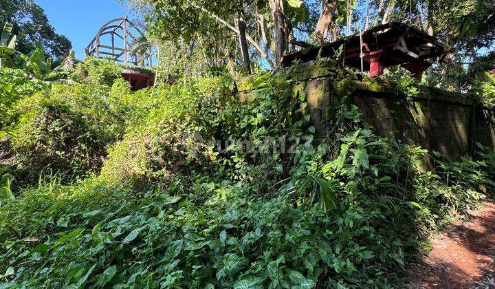 Dijual Lahan Dekat Pusat Ubud Dijual Butuh Uang Cepat  1