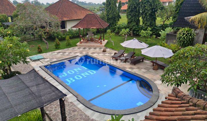 Specual Super Premium Villa Strategic Loc Ubud View Beautiful 1