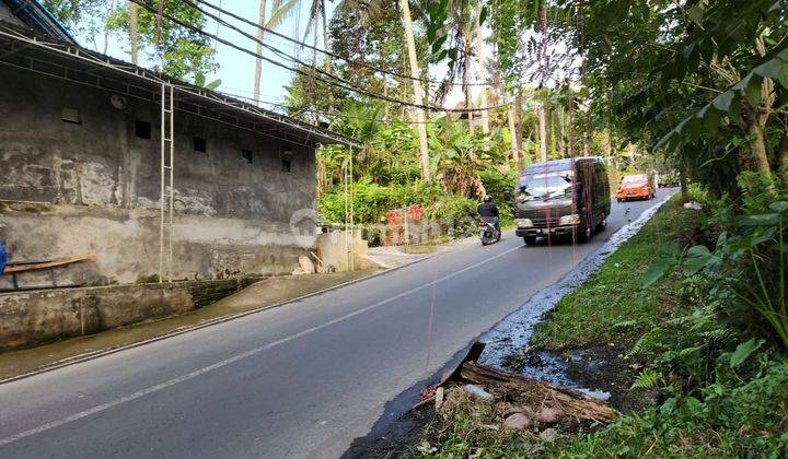 Dijual Tanah Super Langka Di Jl Raya Utama Resort Ubud 2