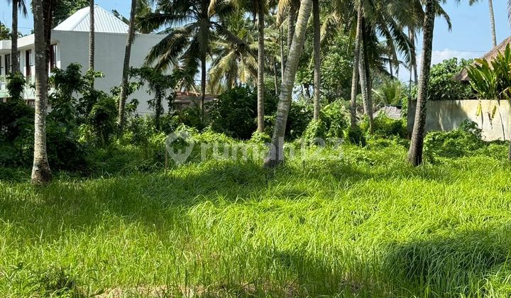 Dijual Tanah Lokasi Lodtundho Lingkungan Vila Akses Jalan Paving