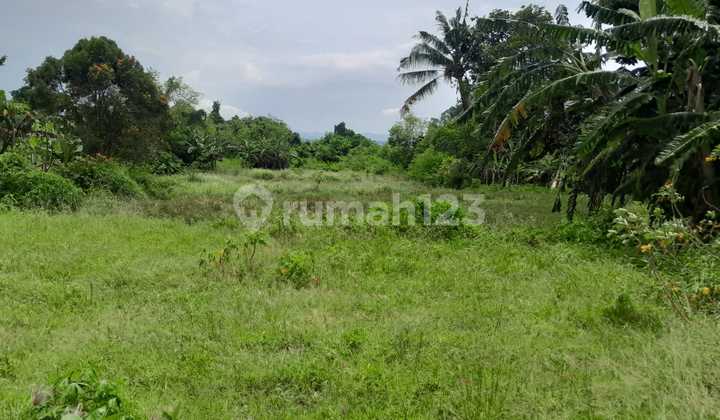 For Sale Unique Land - Maceti Beach View Tranquil Atmosphere