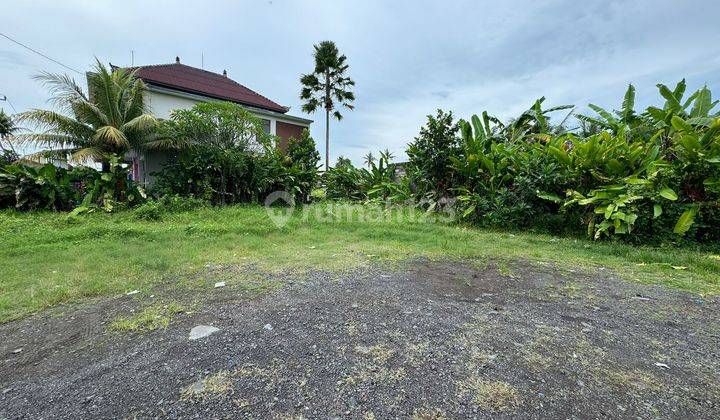 Di Jual Lahan Jalan Utama Lokasi Ubud Cocok Untuk Villa Dan Usaha 1