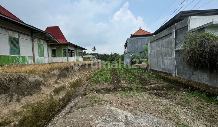 Dijual Tanah Premium - Dekat Maya Resort Ubud Lingkungan Villa Dijual Tanah Premium - Dekat Maya Resort Ubud Lingkungan Villa
