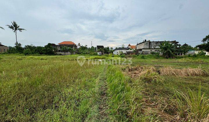 Di Jual Lahan Lokasi Ubud Cocok Untuk Kapling Resort Dan Villa 1