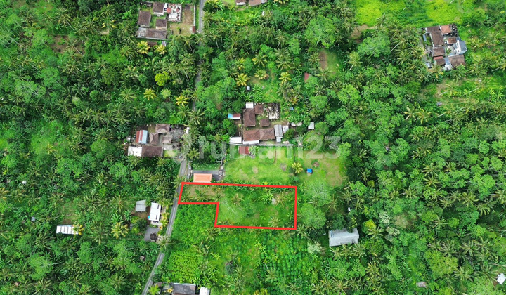 Fast Sale Land with Jungle and Nature Views in Peaceful Village East of Ubud
