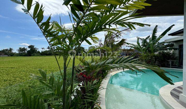 Dijual Villa Baru Di Ubud Kolam Renang View Sawah Dekat Waterfall 2