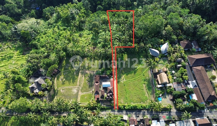 Dijual Lahan Los Sungai Lembah Jungle Dan Sawah Lokasi Di Ubud