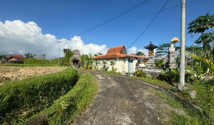 For Sale Land Located In Tegalalang Ubud Area Beautiful View For Sale Land Located In Tegalalang Ubud Area Beautiful View