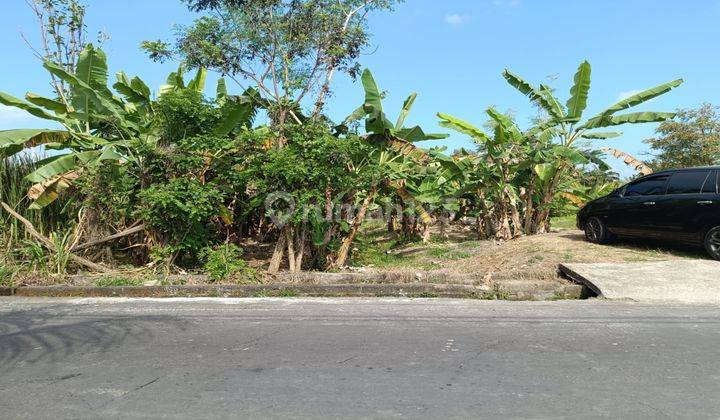 Dijual Tanah View Sawah Dikawasan Ubud Dekat Hotel Bintang Lima 1