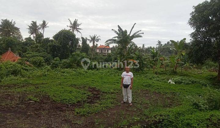 Dijual Tanah Di Ubud Kemenuh Area Villa Shm Akses Mobil 4m 2