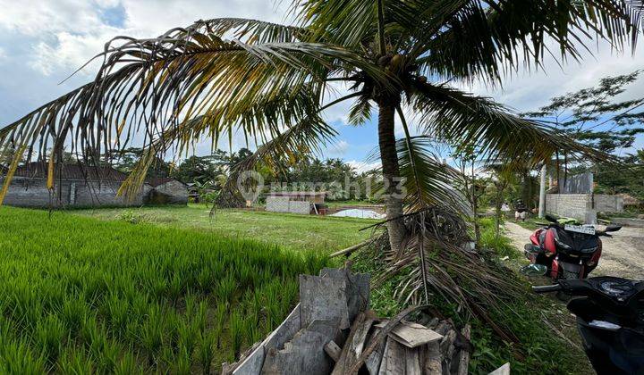 Land for Sale in Ubud, Rice Field View and Villa Environment 2