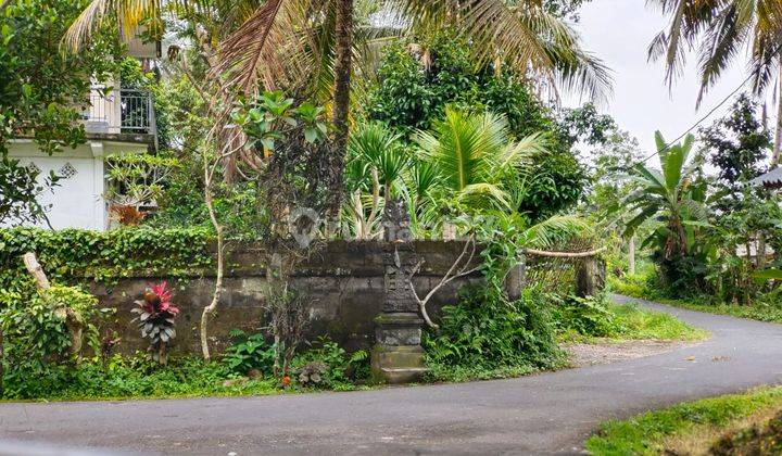 Dijual Lahan Los Sungai Lokasi Ubud View Sawah Sungai Dan Jungle 2