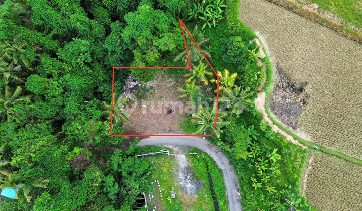 For Sale: River View, Jungle & Rice Field Land in Ubud - Strategic Location
