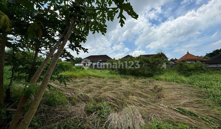 Dijual Lahan Premium Lokasi Mas Ubud View Jungle Lingkungan Villa 1