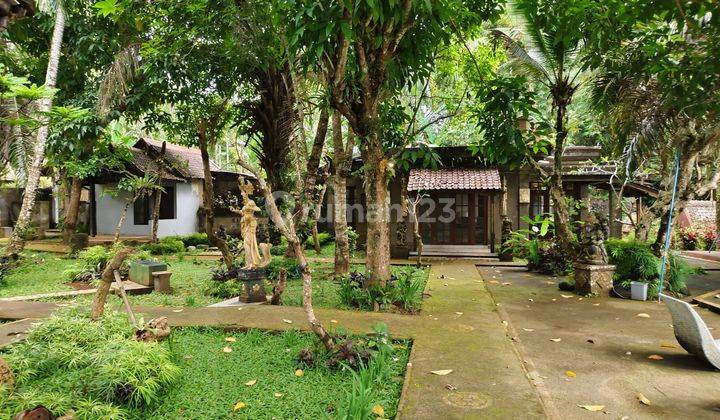 Dijual Tanah Dapat Resort View Jungle Lembah Dan Sungai Di Ubud 2