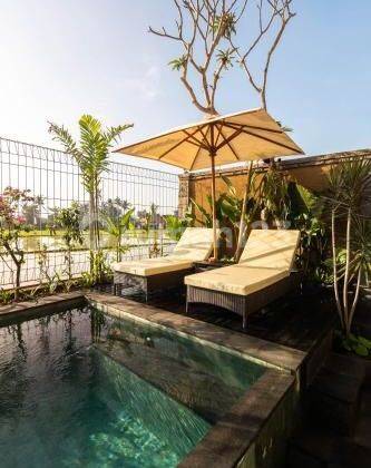 Dijual Private Villa Sudah Running - Full Furnished Di Ubud 2