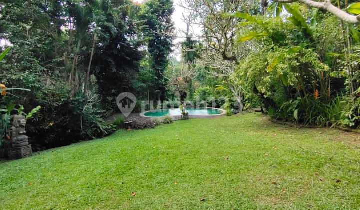 Dijual Unit Villa Area Ubud Loss Sungai Di Kemenuh Bali