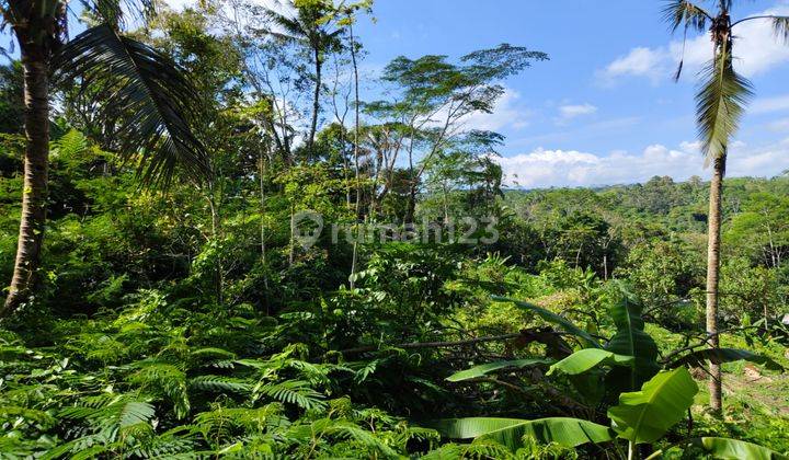 Dijual Tanah Lokasi Ubud View Cantik Lembah Dan Gunung Agung 2