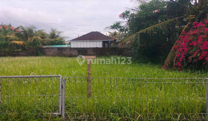 Land for Sale in Ubud, Rice Field View Villa Area 2