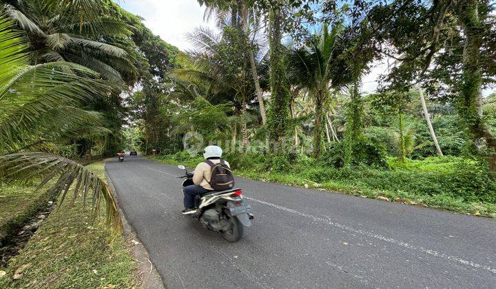 Di jual tanah lokasi singakerta Ubud view jungle 2