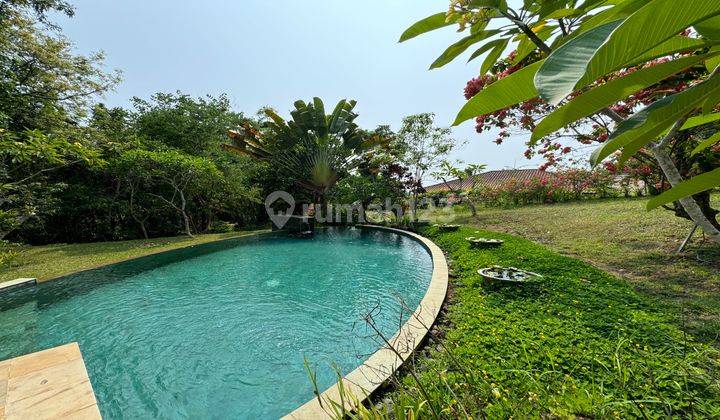 Dijual Villa Tepi Sungai Petanu Ubud Lingkungan Aman Dan Nyaman 2