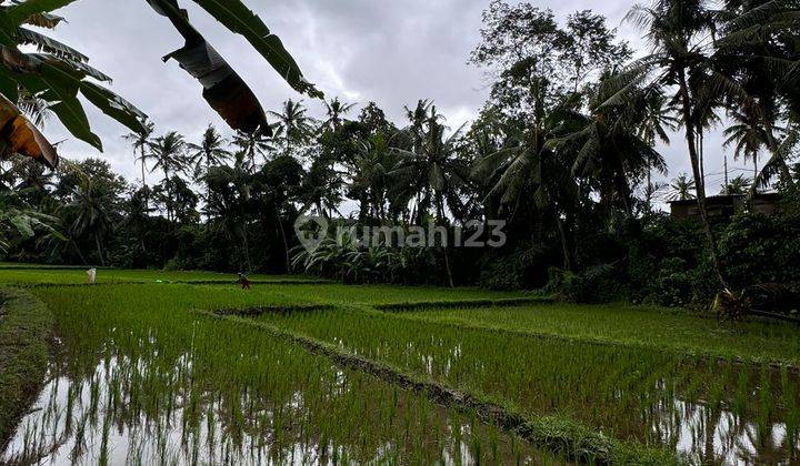 Dijual Tanah Sawah View Sungai Lokasi Ubud Shm Lingkungan Villa 1