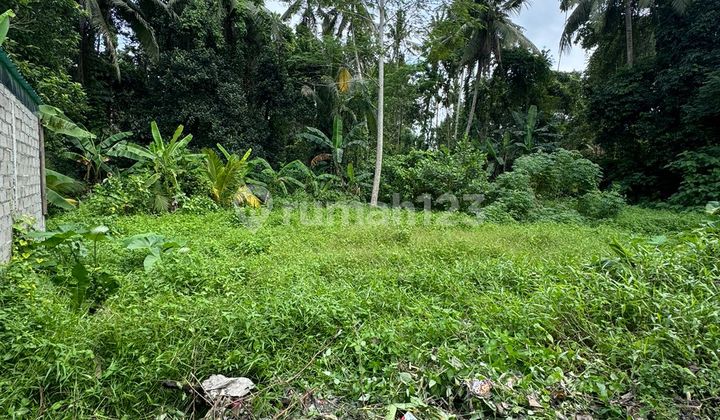 Di Jual Tanah View Jungle dan Sungai Kecil di Ubud SHM