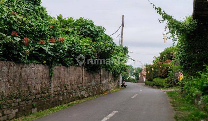 Dijual Tanah Premium Di Ubud Dekat Waterfall Daerah Vila Komersil 2