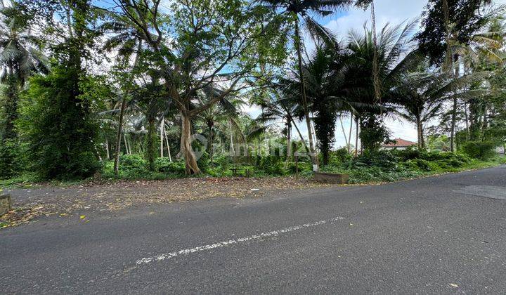 Di jual tanah lokasi singakerta Ubud view jungle 2