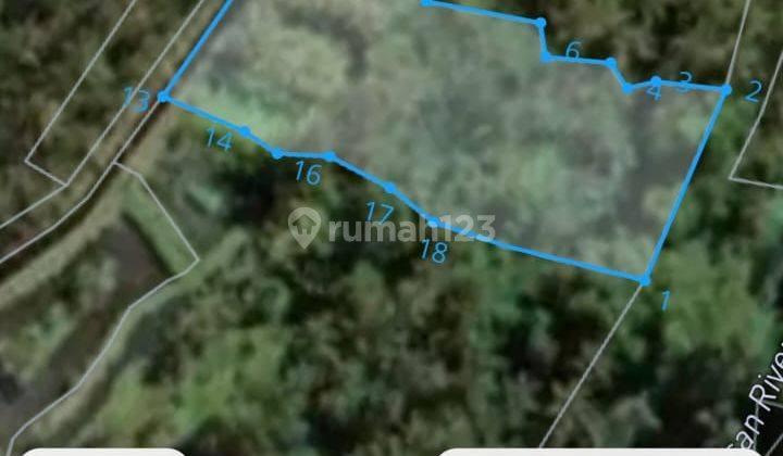 Dijual Tanah Dekat Ubud View Jungle Dan Sawah Kawasan Wisata 2