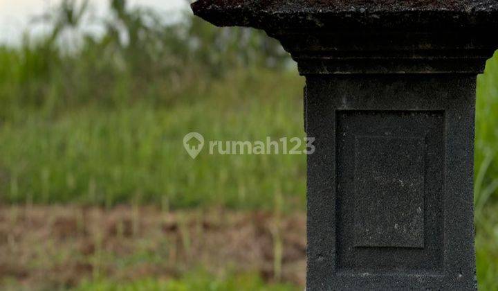 Dijual Lahan Premium Di Ubud View Lembah Dan Sungi Cantik 2