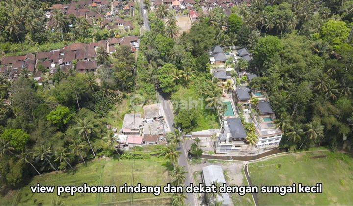 Dijual Tanah Lingkungan Resort Ubud Kontur Tanah Tinggi 2