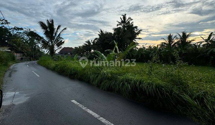 Dijual Lahan Premium Lokasi Ubud View Sawah Cocok Untuk Villa 1