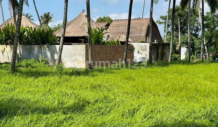 For Sale Land Location Lodtundho Vila Area Paved Road Access