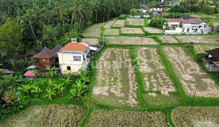 Dijual Sebidang Tanah Premium Lokasi Tenang Dan Asri Jalan Luas