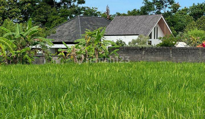 Dijual Tanah Lokasi Di Singapadu Dekat Bali Bird Park Bali Zoo 