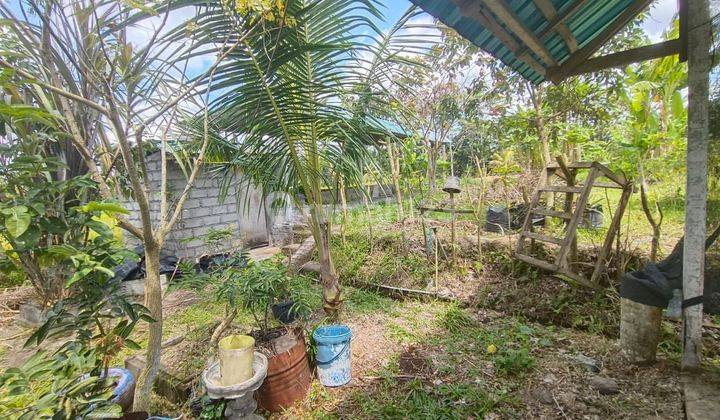 Dijual Tanah Butuh Uang Di Ubud View Lembah Dam Gunung 2