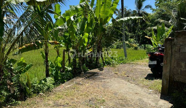 Dijual Lahan Los Sungai Lokasi Ubud View Sawah Sungai Dan Jungle 2