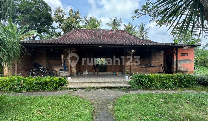 Dijual Villa Hitung Harga Tanah Saja Di Ubud View Sawah Di Lt.2