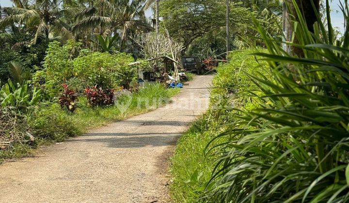 Land for Sale in North Ubud, Need Quick Money, Beautiful View.