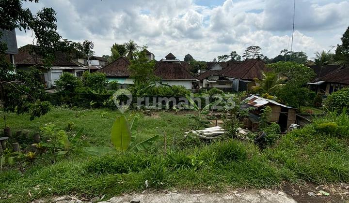 Dijual Lahan Premium di North Ubud Desa Kenderan View Sawah Dijual Lahan Premium di North Ubud Desa Kenderan View Sawah