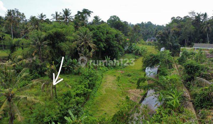 Dijual Tanah View Jungle Sawah Dan Sungai Di Ubud  1