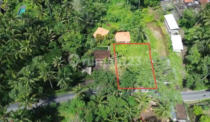 Premium Land For Sale, Location Only 1.5 Km From Capella Ubud, With Certificate of Ownership