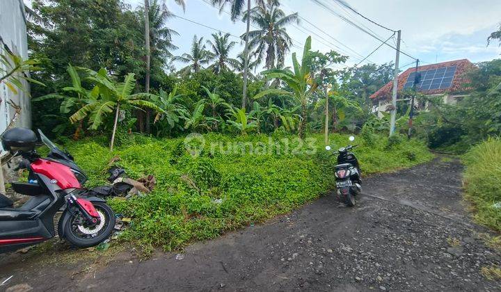 Di Jual Tanah Lodtunduh Ubud Akses Mobil Area Villa 2