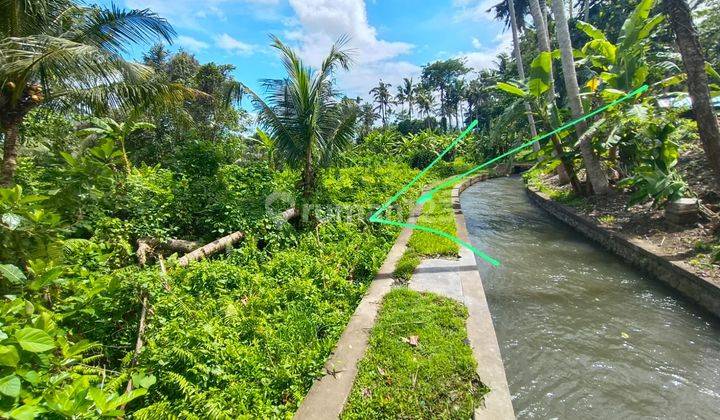 Dijual Tanah Dekat Ubud View Jungle Dan Sawah Kawasan Wisata 1