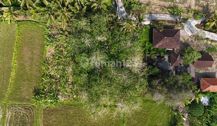 Dijual Lahan Premium Lokasi Singakerta Ubud View Sawah 2