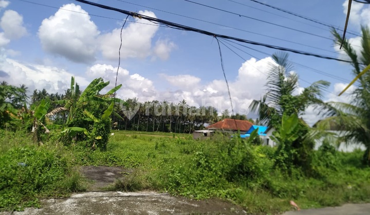 Dijual Tanah View Sawah di Kemenuh Cocok Resort, Villa & Restoran Dijual Tanah View Sawah di Kemenuh Cocok Resort, Villa & Restoran