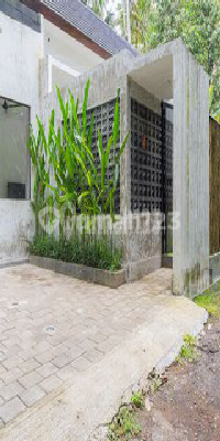 Dijual Rumah Style Villa Lokasi Didesa Wisata di Raya Kelusa Ubud 2